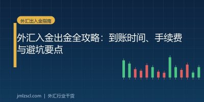 外汇出入金