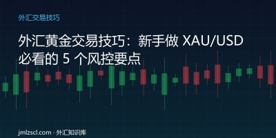 外汇黄金交易技巧 新手风控 XAUUSD